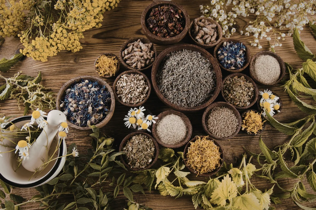 Immunity Boosting — Dr. Negi's Clinic, Uttam Nagar Delhi